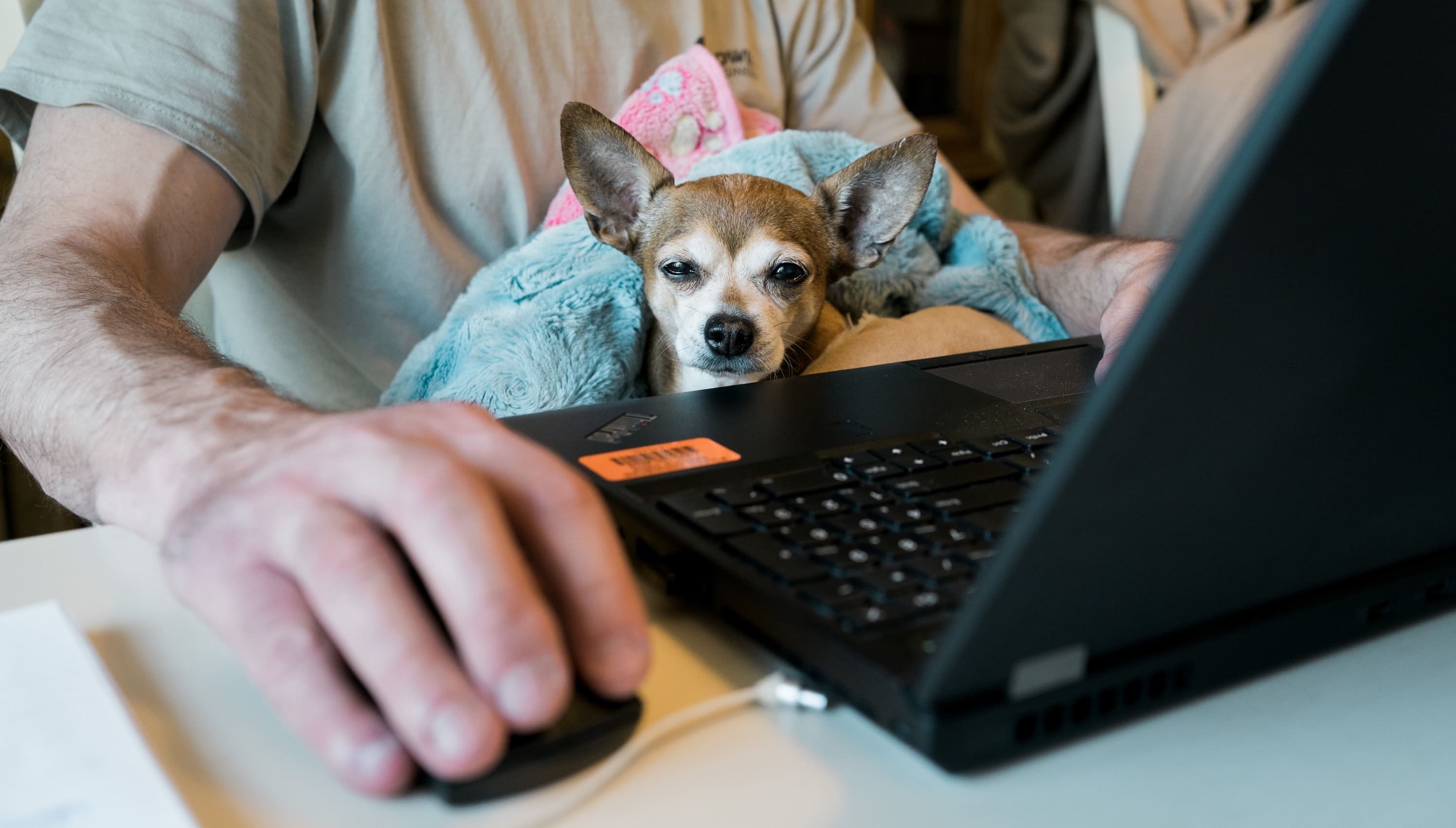 online therapy Charleston SC